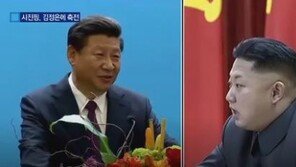 시진핑, 김정은에 답전…“안정적 북중관계 발전 추동”
