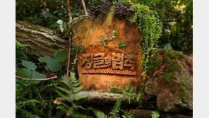 ‘정글의 법칙’ 안전불감증 도마…“연락도 안 되는 곳에서 목숨 걸고 촬영?”