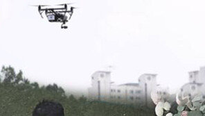 송중기·송혜교 결혼식장 드론 도촬 혐의 조사받은 베트남인…송·송 “고소 않겠다”