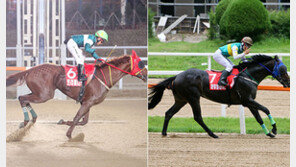 트리플나인의 3연패냐…파워블레이드의 복수냐