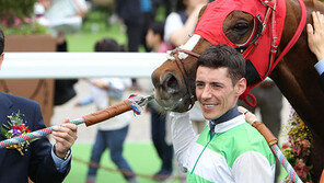 ‘발칸반도의 늑대’ 페로비치, 200승 고지 점령