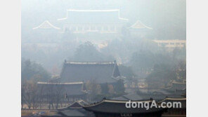 ‘이석기·한상균 특사설’에 靑 “성탄절 특별사면, 결정된 바 없어”