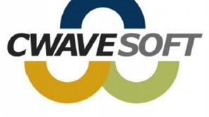 넥슨, 온라인게임 개발사 '씨웨이브소프트' 전략적 투자 단행