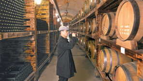 [Feeling]나무통 안의 ‘붉은 술’… 머루 와인 익어가는 가을