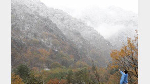 설악산에 첫 눈…작년보다 일주일 늦어 “주말 탐방객, 추위 대비해야”