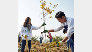 현대車 ‘아이오닉 포레스트 나무 심기’