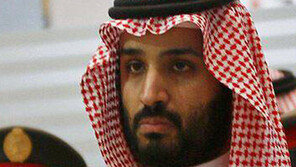 사우디王家에 숙청 피바람… 왕자 11명 부패혐의 체포