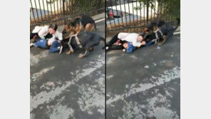 [영상]맹견에 물려 끌려가면서도 어린 손자 온몸으로 감싼 할머니 