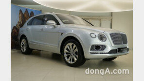 벤틀리 ‘벤테이가’, 월 평균 15대 판매… 최고급 수입차 시장 안착