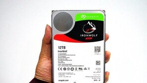 [리뷰] '용량·성능·안정성' 잘 버무린 HDD, 씨게이트 아이언울프 12TB