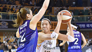 외곽에서 춤춘 KB스타즈 ‘개막 4연승’ 질주