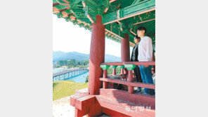 장보고의 청해진 유적지