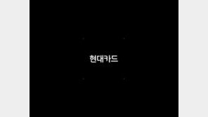 현대카드 성폭행 논란에 술렁…“개인 간 애정문제?” VS “무혐의 종결, 뭔 책임?”