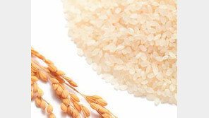 [헬스동아]세계가 주목하는 쌀의 든든한 영양학적 가치