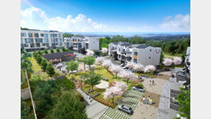 내 집 마련 대안으로 부상한 ‘타운하우스’