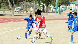 치열한 초등축구리그 예선전