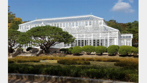 ‘창경궁 온실’ 그 시절 그 모습대로