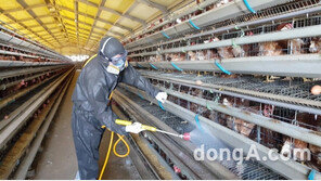 ㈜비센바이오-전남대 수의학과, 화학살충제 계란파동 해결책 제시