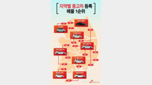 중고로도 잘나가는 그랜저HG… 수입은 E클래스 활발한 거래