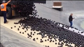 [대박! 이거 봤어?] 상대성 이론 증명을 플레이스테이션으로?