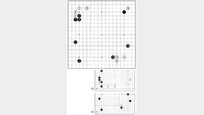 [바둑]알파고 vs 알파고 특선보… 인간과의 실력 차이