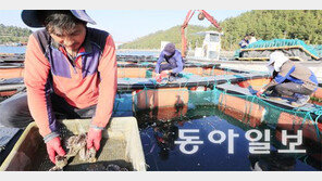 IT와 만난 청정 양식, 세계인 식탁 명품으로