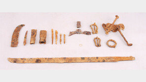 전북 장수 고분서도 ‘F자형 재갈’ 가야 마구 출토