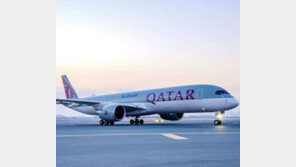 잠든 남편 휴대전화에 외도 흔적 가득…성난 아내 난동에 여객기 비상착륙