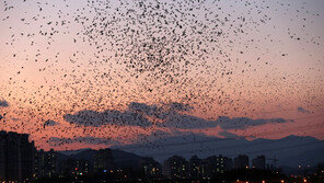 아시아 ‘새 축제’ 울산에서 열린다
