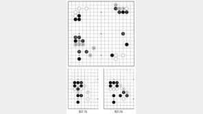 [바둑]알파고 vs 알파고 특선보… 흑의 엄중한 공격
