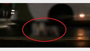 봉침 목사, ‘아동학대’ 영상 확산…차도 한복판서 입양아 끌어안고…