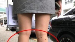 ‘부산대 스타킹 잉크 테러 男’ 검거…“여대생 깜짝 놀랄 때 성적 쾌감”