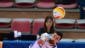 ‘이변의 꼴찌’ 대한항공, 가스파리니 채식 영향 있을까