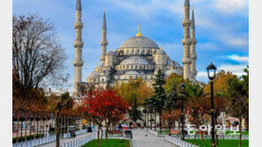 [책의 향기]인생은 때로 낯선 운명을 받아들이는 일