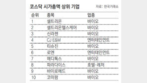 연일 연중 최고치… 이젠 코스닥랠리 시작하나