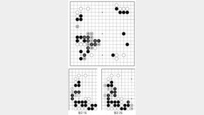 [바둑]알파고 vs 알파고 특선보… 백의 반격