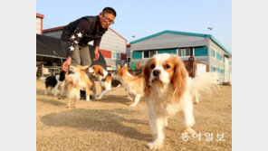 “우리집 개도 물 수 있잖아요” 중-소형견 위탁훈련 줄이어