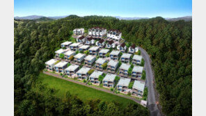 ‘평창 폴라리스 700’ 타운하우스 분양