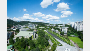 “얼굴·몸 고쳐 좋은 남자 만나는 게 최고” 이대 교수, 여성 비하 공개사과