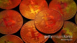 폭등 폭락 비트코인…거품일까, 자산일까
