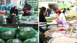 돌아온 김장시즌… 배추-젓갈 사볼까