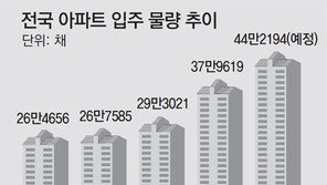아파트 입주물량 폭탄에… 올해는 ‘홀수해 전세대란’ 없었다