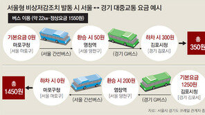 서울시 ‘미세먼지 많은 날 대중교통 무료’… 시행 엿새 앞두고 또 삐그덕
