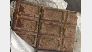 가나초콜릿서 구더기가? 소비자 “회사 대응, 기막혀”…롯데 “말 와전된 듯”