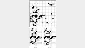[바둑]알파고 vs 알파고 특선보… 한 수의 가치가 있는 곳