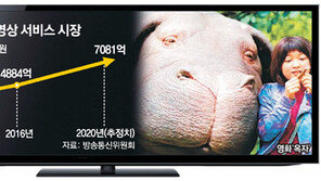 온라인 동영상시장 달아올랐네