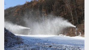 정선을 ‘눈의 나라’로… 130만㎥ 만든다
