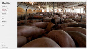 도올 김용옥, 막내 딸 김미루의 누드 퍼포먼스에 “가슴 아프면서도 뿌듯”