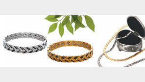 [스마트 컨슈머]칩 하나하나 수공예… 건강-디자인 모두 잡아