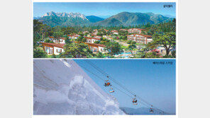[스마트 컨슈머]겨울여행, 숙박-음식-오락 갖춘 리조트서 힐링을